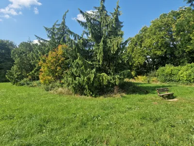 5 rincones verdes escondidos cerca de Fráncfort para tu próximo Brückentag