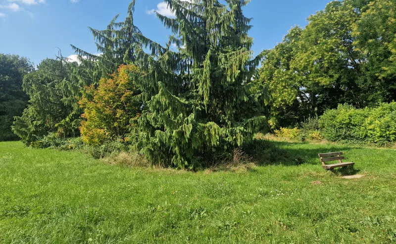 Featured image for 5 rincones verdes escondidos cerca de Fráncfort para tu próximo Brückentag
