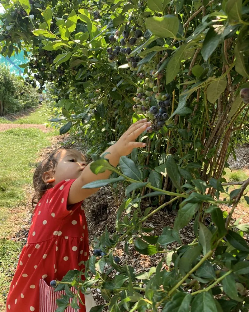 How I am Living a more Unconventional Life since Raising Children Abroad in Germany