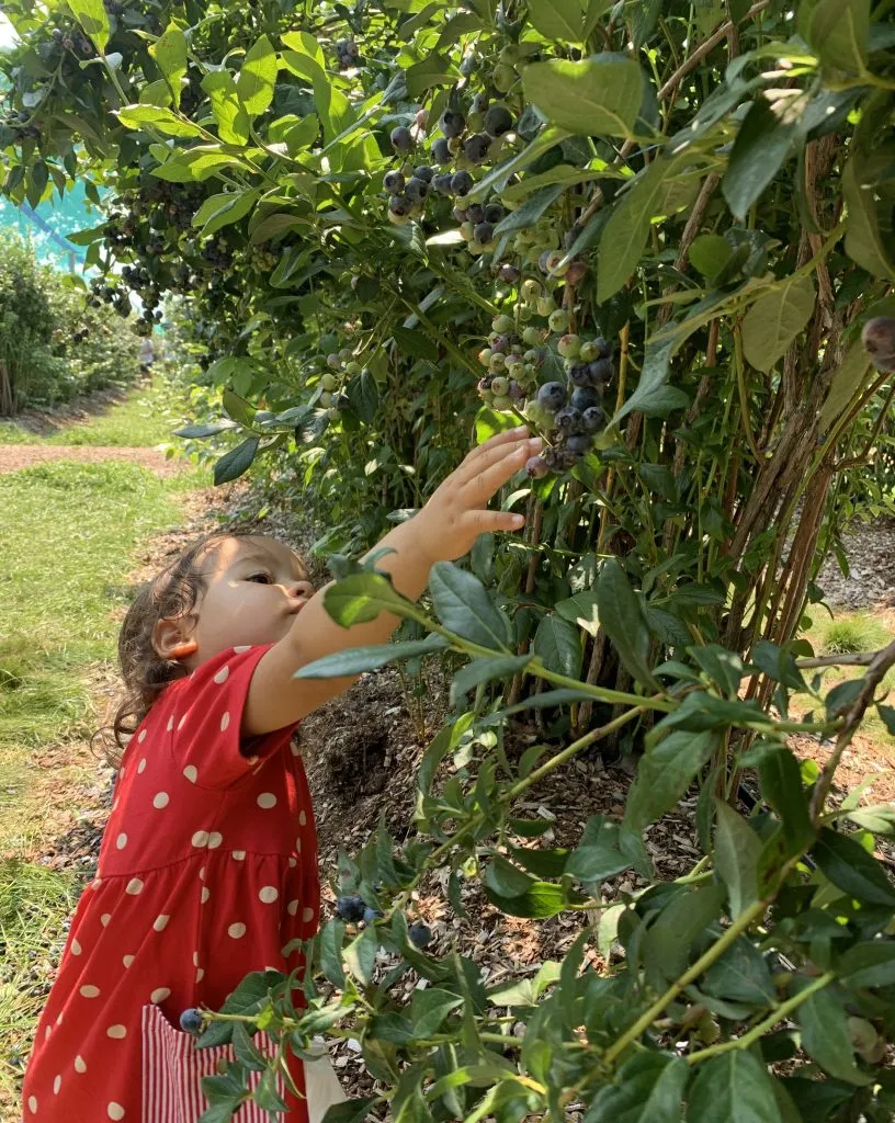 How I am Living a more Unconventional Life since Raising Children Abroad in Germany